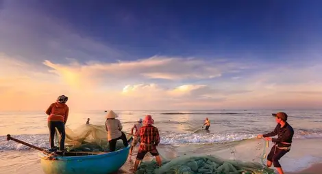 Рибата в Европа свършва, предупреждава WWF Рибата в Европа свършва, предупреждава WWF