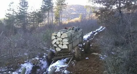 Горските конфискуваха още две каруци на бракониери Горските конфискуваха още две каруци на бракониери