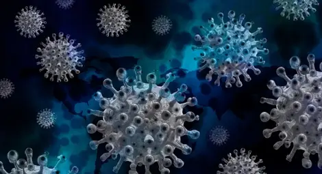 Откриха двойна мутация на коронавируса в Индия