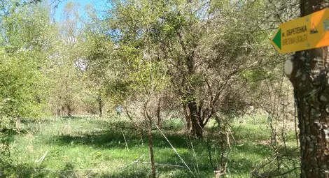 Създава се обществен съвет "Заедно за Поломието"