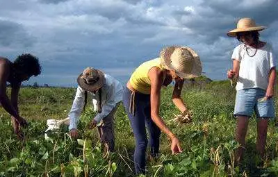 Би Би Си: 37% от българите обмислят да работят в чужбина