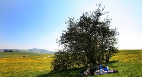 Синоптиците обещават разхлаждане