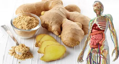 Джинджифил: 8 здравословни ползи от приема + Лесна Рецепта