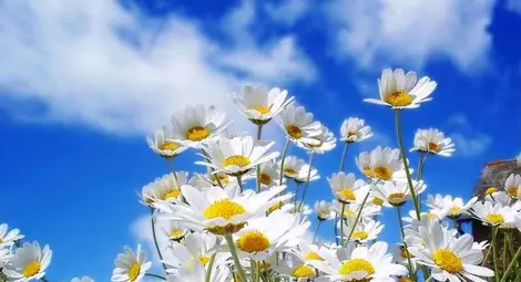 Прогноза за времето за 9 март 2013 г.