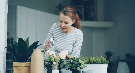 Торове и добавки за растения &ndash; основа за здрав растеж и добра реколта