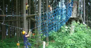 Кметът предлага концесия за спорт  и атракциони в Лесопарк „Липник“