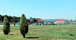 Гърмежи край ДЗС гонят гълъбите, но най-много тревожат хората