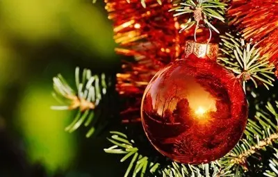 Хиляди искат купон за Нова година на магистрала в Италия, властите се намесиха