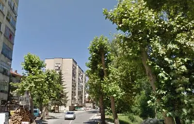 10-годишно момче счупи крачетата на кученце и после го уби в Троян пред други деца