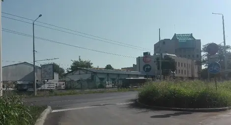 Трева с височина 1 метър пречи на видимостта на шофьорите по локалното платно на &bdquo;Липник&ldquo;.                         Снимка: Авторът