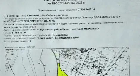 Снимка: БТА