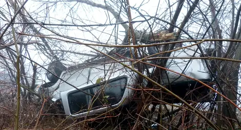 Молдовец оцеля по чудо в пронизана от дърво кабина