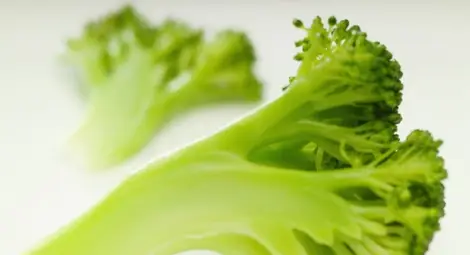 6 суперхрани, които намаляват риска от рак 6 суперхрани, които намаляват риска от рак