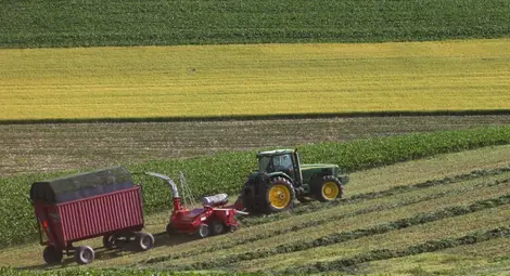 400 лева разлика в цените на нивите в община Иваново