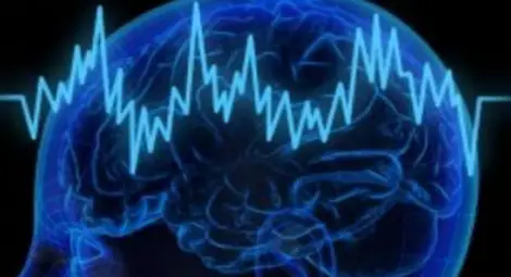 Жив Google и човешки мозък в София