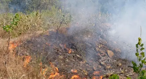 Излъгани за пари дървосекачи от Котел подпалили гора край Ветово