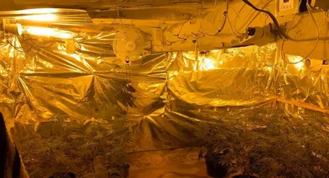 Оръжие и дрога за десетки хиляди задържани от русенски полицаи