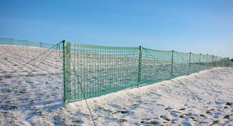 3000 метра снегозадържащи огради ще пазят най-ветровитите участъци в Русенско