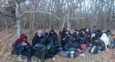 Кмет и негов авер заловиха 56 бежанци и после гръмнаха 150 килограмов глиган