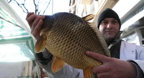 Започват проверки на рибата в цялата страна преди Никулден