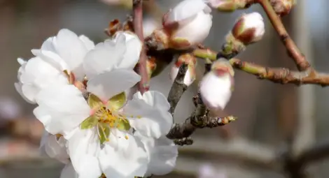 Чака ни топъл и слънчев старт на седмицата
