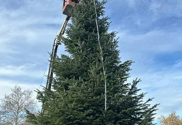 Кметът Пенчо Милков ще запали светлините на коледната елха в центъра на Русе на 4 декември