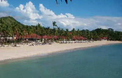 Двама французи изгорени на клада в Мадагаскар по подозрение в трафик на органи Двама французи изгорени на клада в Мадагаскар по подозрение в трафик на органи