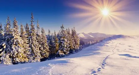 Без мразовит апокалипсис през декември