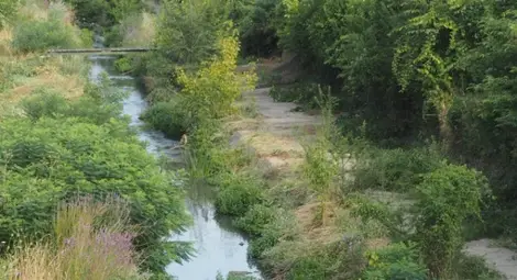 Неизвестен мъж открит мъртъв в Черни Лом до Кошов