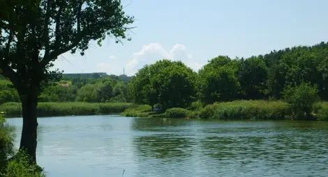 Обединение от фирми за закуски и за горива иска язовира в Тетово