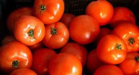 Турските зеленчуци тъпкани с отрови 