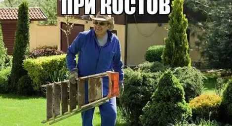 Джойнт и мацки на припек за изборите