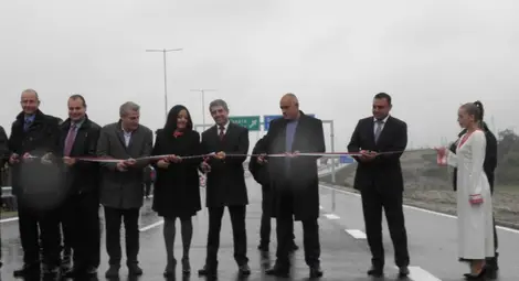 Оцелял съди АПИ след удар в крава на АМ "Струма" (видео)