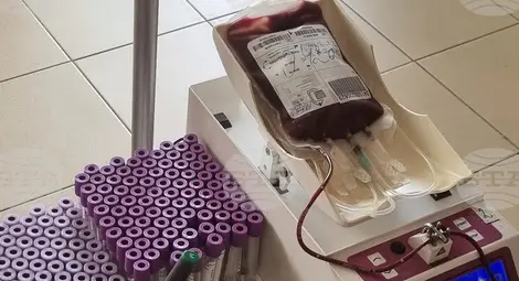 Снимка: БТА