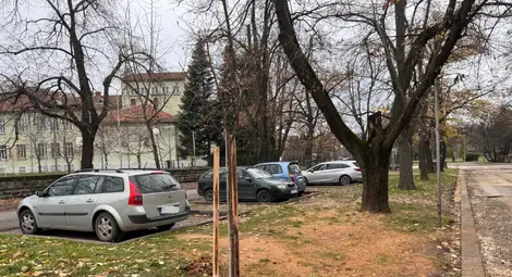 Още 30 нови дръвчета обогатяват зелените пространства в Парка на младежта в Русе