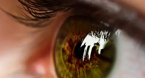 Окото възприема цветовете по различен начин през лятото и зимата