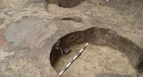 Изследване акцентира върху археоботаниката от ямното поле на Сексагинта Приста