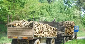 Складове за дървесина спират  работа заради новите изисквания