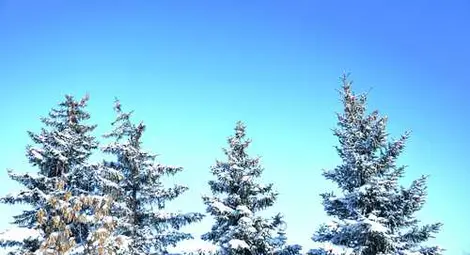 Каква зима ни очаква?