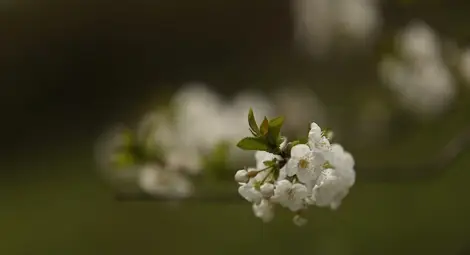 Над 10 градуса разлика в температурите от понеделник до петък