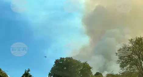 Снимка: БТА