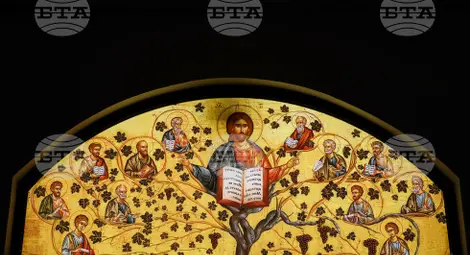 Снимка: БТА Снимка: БТА