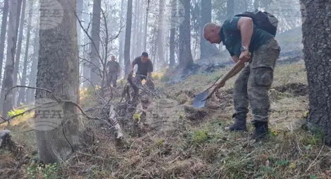 Снимка: БТА