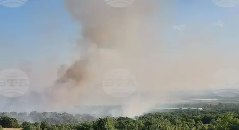 Снимка: БТА