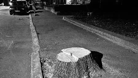 Снимка: Сдружение &bdquo;СъГраждани&ldquo;