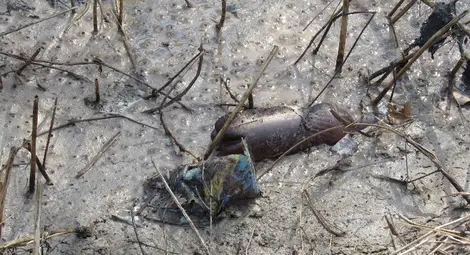 Заводът за хлебна мая затваря след замърсяването на Дунав