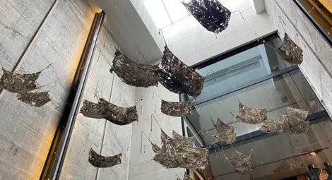 Розов облак избухва в по време на пандемия в Историческия музей в Русе