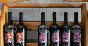 Близо 200 проби ще се включат в Международния дегустационен конкурс за вина и спиртни напитки "Винария" 2026