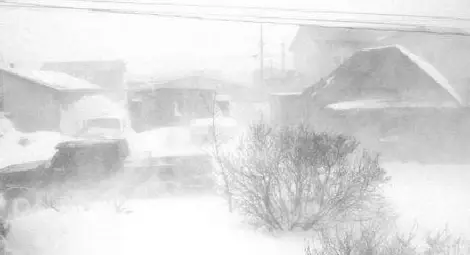 Възрастна жена загина във виелицата в Русенско