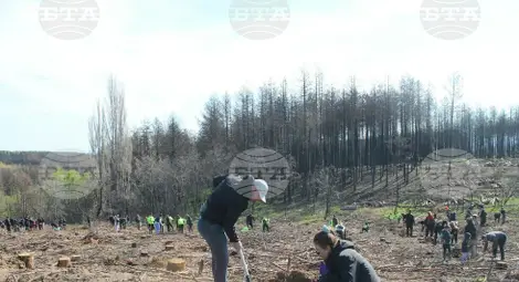 Снимка: БТА Снимка: БТА